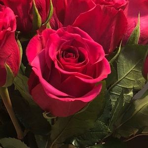 Meet your Posher, Malorie